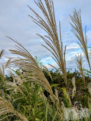 上越デリヘル 上越風俗出張アロママッサージ(ジョウエツフウゾクシュッチョウアロママッサージ) あやの★限定出勤＾＾(35)の10月6日写メブログ「冷えますね」
