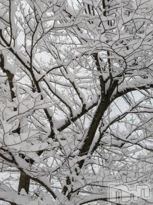 上越デリヘル 上越風俗出張アロママッサージ(ジョウエツフウゾクシュッチョウアロママッサージ) あやの★限定出勤＾＾(35)の2月19日写メブログ「明日から2月の出勤です」