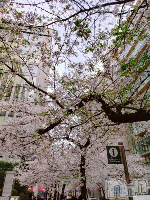 上越デリヘル 上越風俗出張アロママッサージ(ジョウエツフウゾクシュッチョウアロママッサージ) あやの★限定出勤＾＾(35)の4月3日写メブログ「4月スタート☆上越出勤」