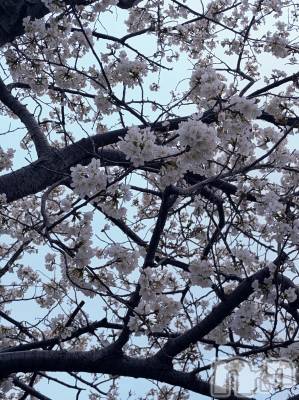 上越デリヘル 上越風俗出張アロママッサージ(ジョウエツフウゾクシュッチョウアロママッサージ) あやの★限定出勤＾＾(35)の4月5日写メブログ「出勤残りの数時間となりました！」