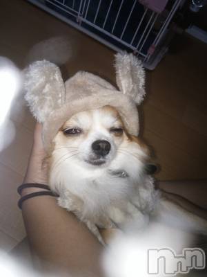 佐久発デリヘル 佐久上田人妻隊(サクウエダヒトヅマタイ) はるな(40)の10月27日写メブログ「★御礼★」