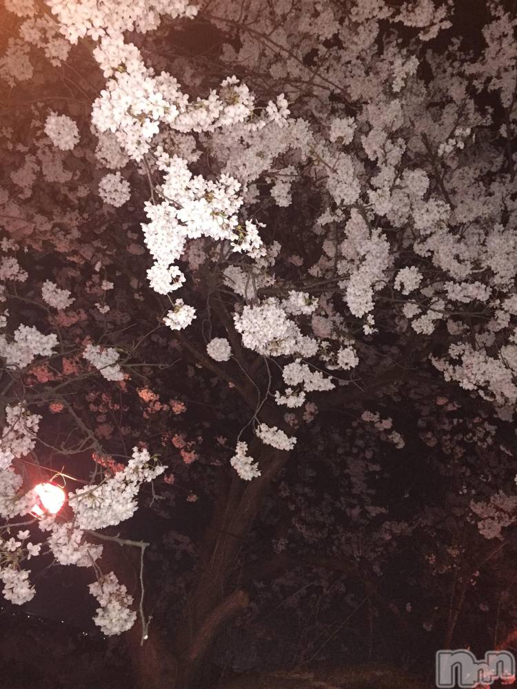 ĮХ顦club Diana(֥ǥ) ߤ411ֻ̥֥🌸