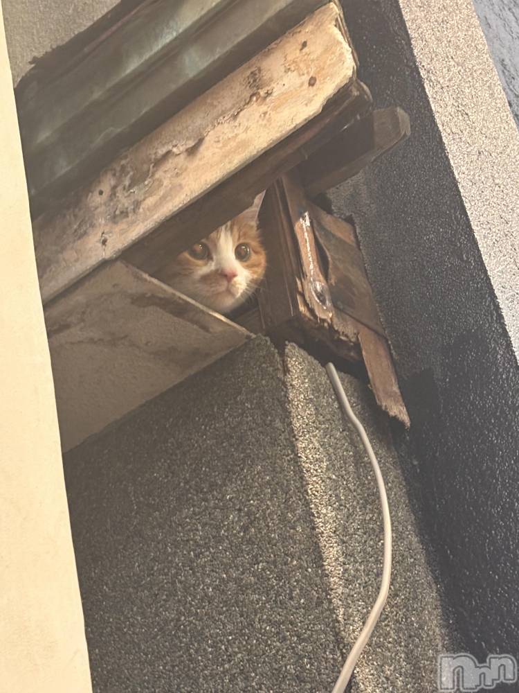 ��Į����Х��顦�����club Diana(����֥ǥ�����) ��� ��庤�2��6���̥�֥������廡��