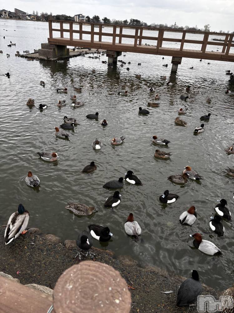 ��Į����Х��顦�����club Diana(����֥ǥ�����) ��� ��庤�3��22���̥�֥����ֿ���ι��