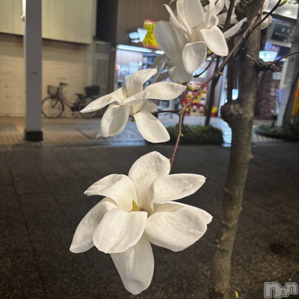 ��Į����Х��顦�����club Diana(����֥ǥ�����) ��� ��庤�4��5���̥�֥���������ϡ��