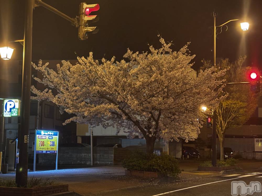 ��Į����Х��顦�����club Diana(����֥ǥ�����) ��� ��庤�4��10���̥�֥���������🌸(?)��