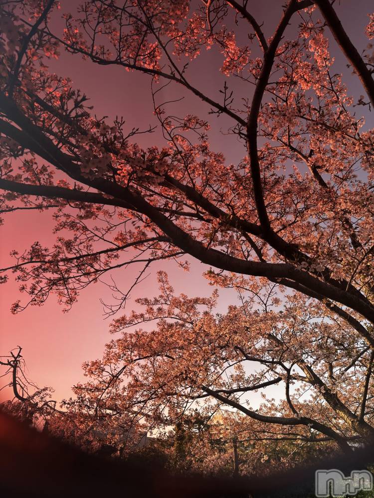 ��Į����Х��顦�����club Diana(����֥ǥ�����) ��� ��庤�4��13���̥�֥����֤��ָ���