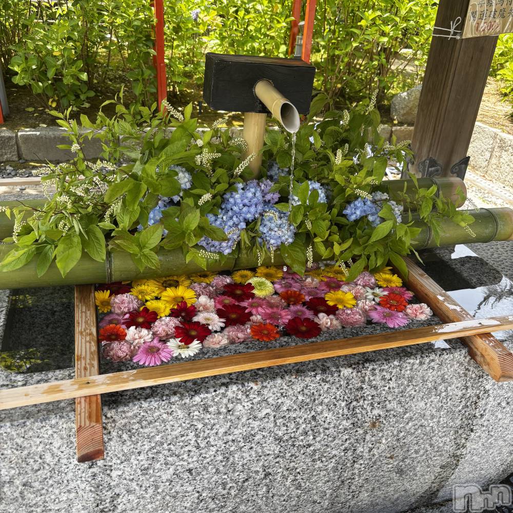 ��Į����Х��顦�����club Diana(����֥ǥ�����) ��� ��庤�6��2���̥�֥����ֻפ��Ĥ��ʤ���