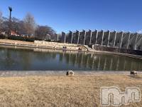 ��Į����Х��顦�����club Diana(����֥ǥ�����) ��� ��庤�2��21���̥�֥����֤ܡ��äȡ�