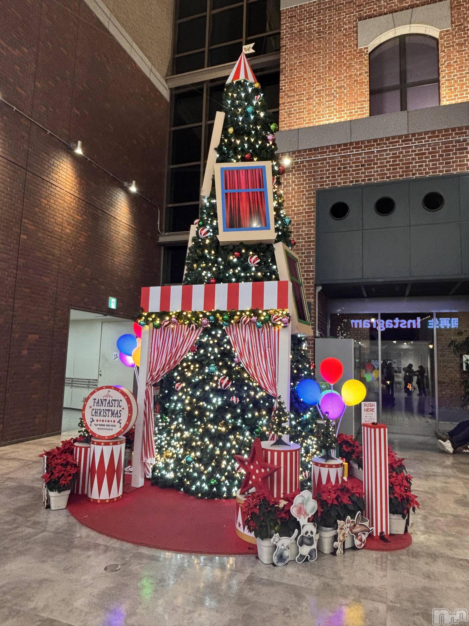 ĮХ顦club Diana(֥ǥ) 2025ǯ1211ֻ̥֥Ҷ