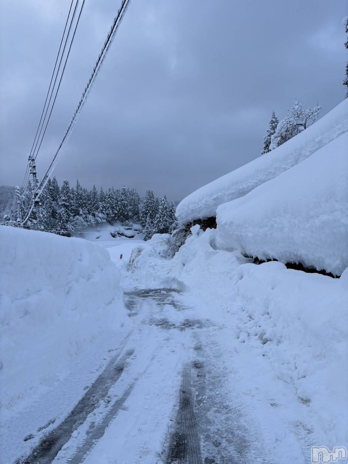 ��Į����Х��顦�����club Diana(����֥ǥ�����) ��2026ǯ3��5���̥�֥����ְ�������