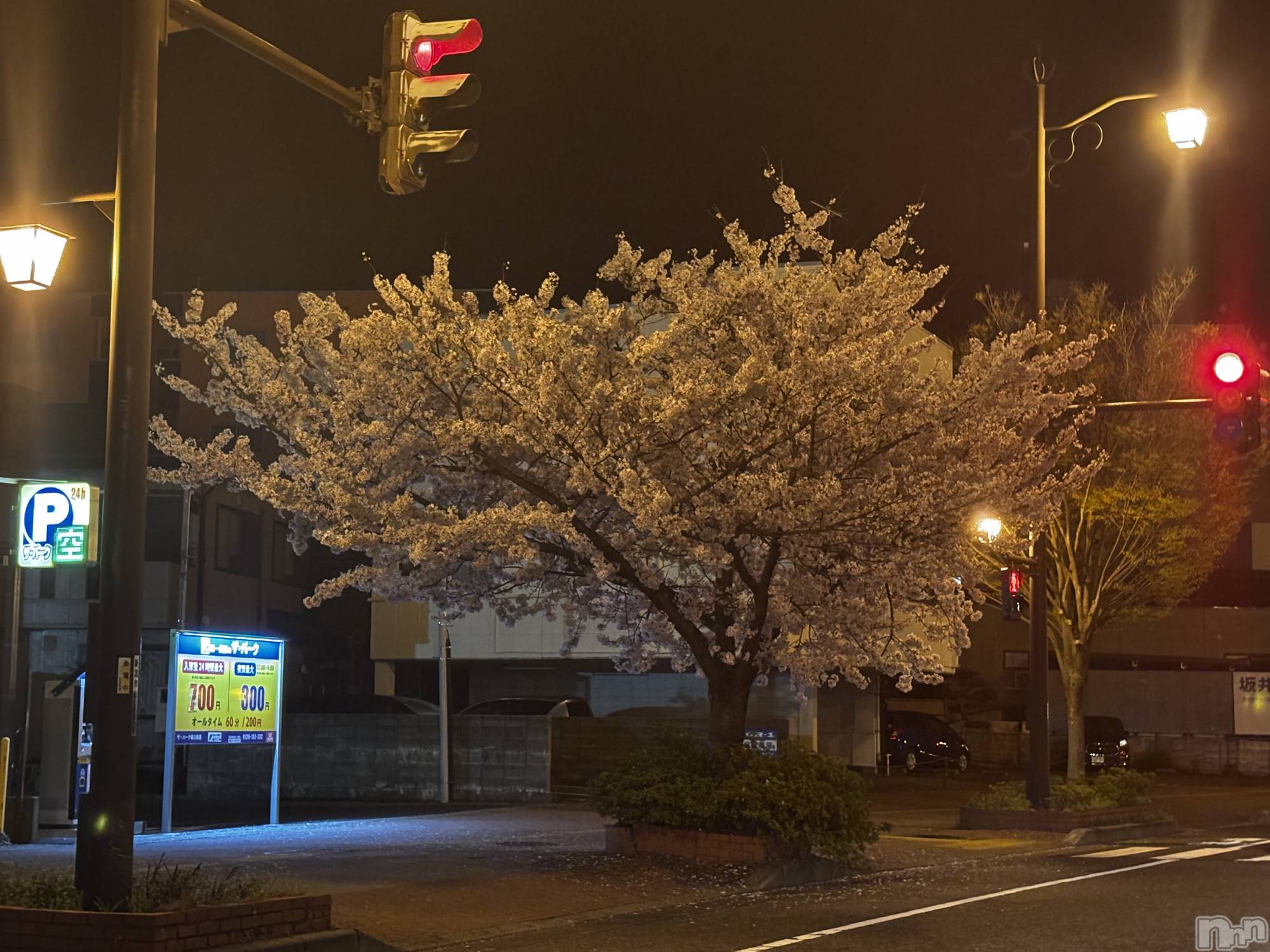 ��Į����Х��顦�����club Diana(����֥ǥ�����) ��2026ǯ4��10���̥�֥���������🌸(?)��