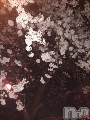 ĮХ顦club Diana(֥ǥ) ߤ411ֻ̥֥🌸