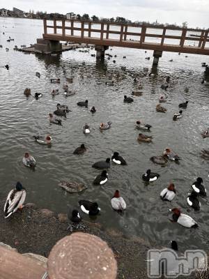 ��Į����Х��顦�����club Diana(����֥ǥ�����) ��� ��庤�3��22���̥�֥����ֿ���ι��