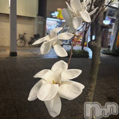 ��Į����Х��顦�����club Diana(����֥ǥ�����) ��� ��庤�4��5���̥�֥���������ϡ��