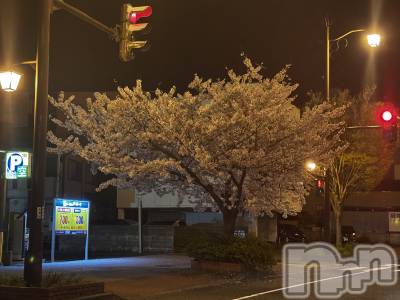 ��Į����Х��顦�����club Diana(����֥ǥ�����) ��� ��庤�4��10���̥�֥���������🌸(?)��