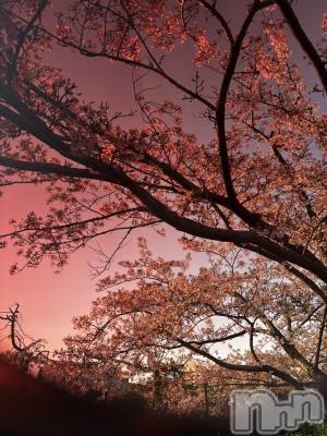 ��Į����Х��顦�����club Diana(����֥ǥ�����) ��� ��庤�4��13���̥�֥����֤��ָ���