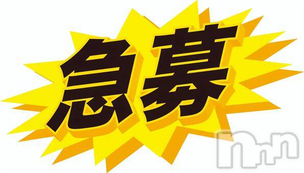 ȯѥ˥󥯥ֿ㥳ѥ˥ -϶15ǯοȼ-(˥ѥ˥󥹥)  2023ǯ112̥֥֡Τޤ۵ޤʱ紿ޡ