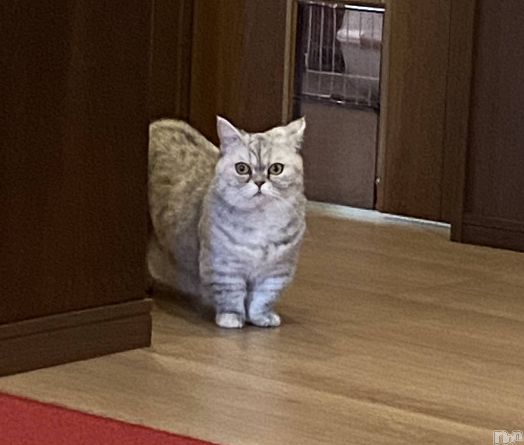 ȯĥХ顦La.DOUBLE(֥) 2022ǯ37̥֥ǭե😽