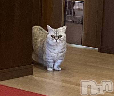 ȯĥХ顦La.DOUBLE(֥) 37̥֥ǭե😽