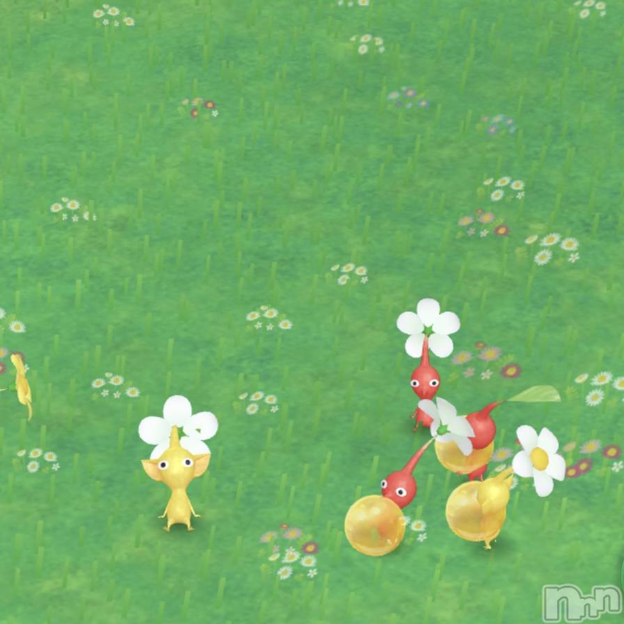 ʥå륺СʥåBar Peace(ʥåС ԡ) 119̥֥🌱