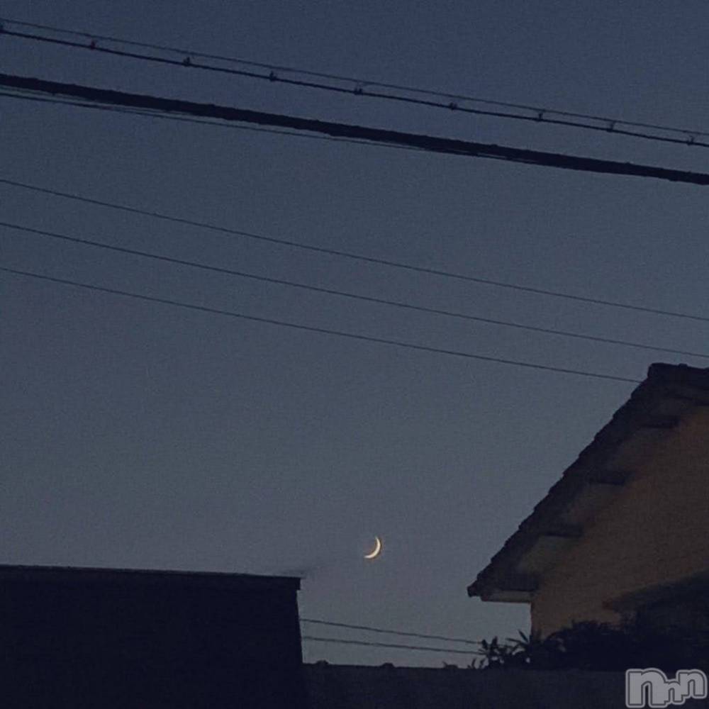ʥå륺СʥåBar Peace(ʥåС ԡ) 1120̥֥🌙