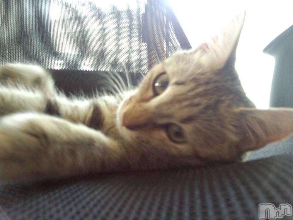 ʥå륺СʥåBar Peace(ʥåС ԡ) 1213̥֥🐈