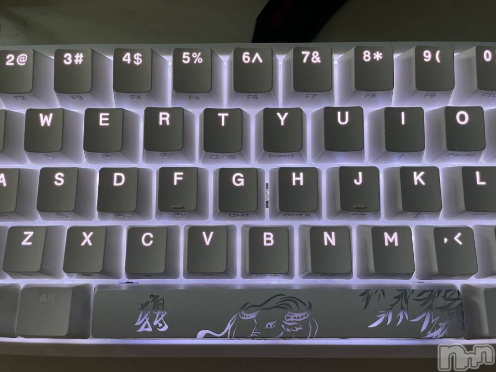 ʥå륺СʥåBar Peace(ʥåС ԡ) 627̥֥🥵
