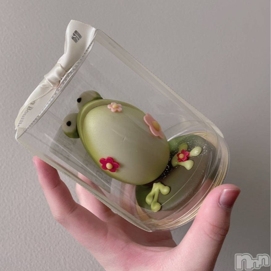 ʥå륺СʥåBar Peace(ʥåС ԡ) 419̥֥🐸🥚🐰❕