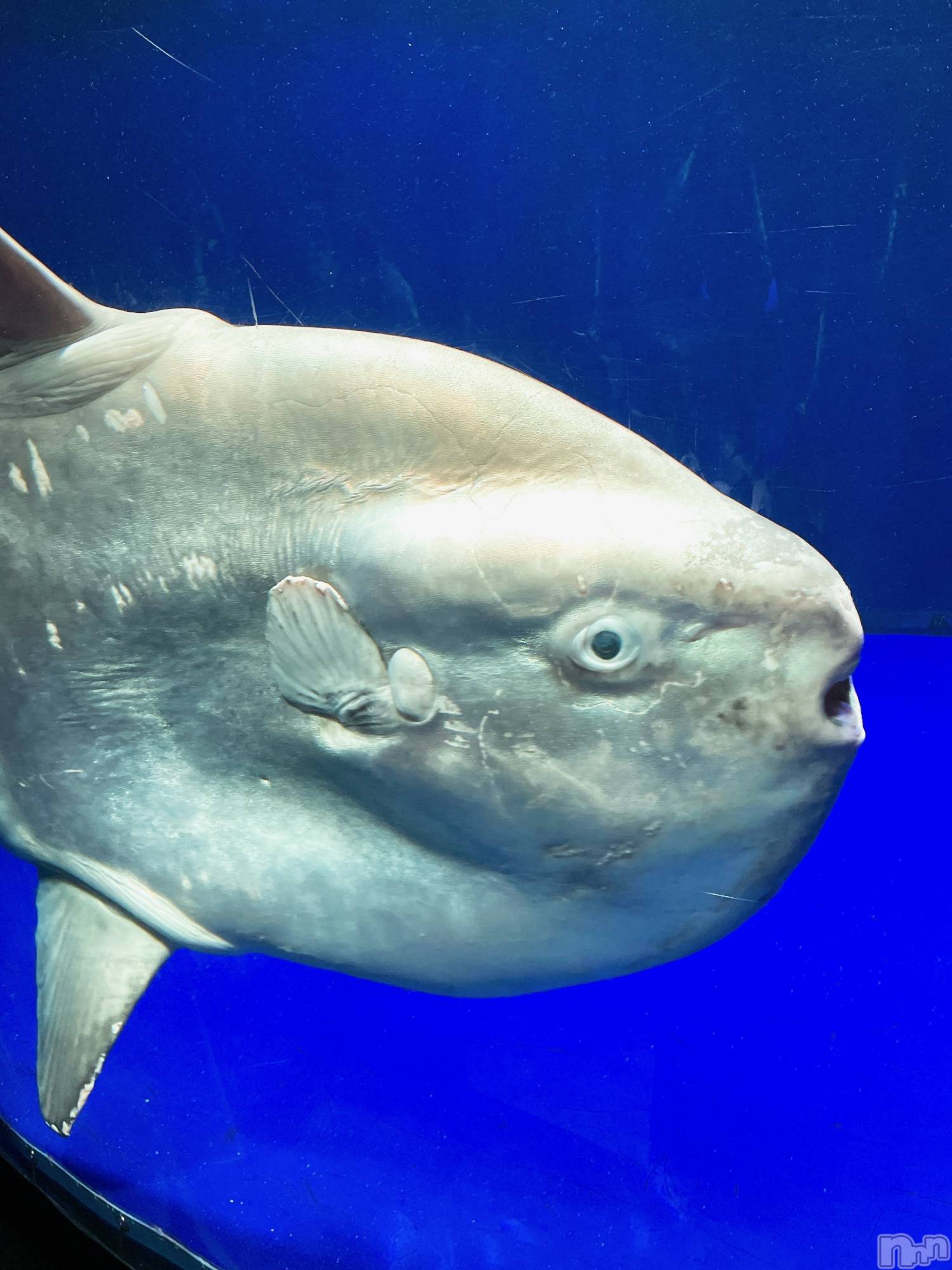 ʥå륺СʥåBar Peace(ʥåС ԡ) 2022ǯ28̥֥🐟