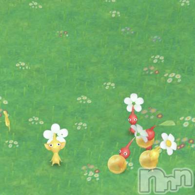 ʥå륺СʥåBar Peace(ʥåС ԡ) 119̥֥🌱