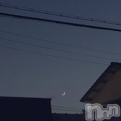 ʥå륺СʥåBar Peace(ʥåС ԡ) 1120̥֥🌙