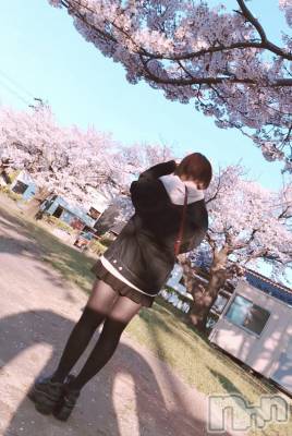 ʥå륺СʥåBar Peace(ʥåС ԡ) 49̥֥⸜🌷︎⸝‍