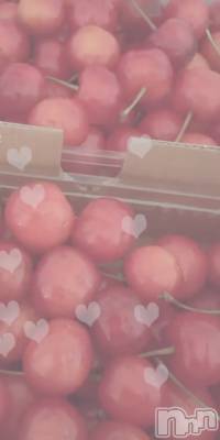 ʥå륺СʥåBar Peace(ʥåС ԡ) 54̥֥🍒🍒