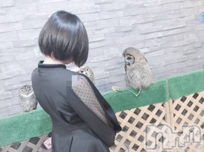 ʥå륺СʥåBar Peace(ʥåС ԡ) 64̥֥🤨