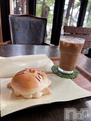 ʥå륺СʥåBar Peace(ʥåС ԡ) 530̥֥🍞𝟛