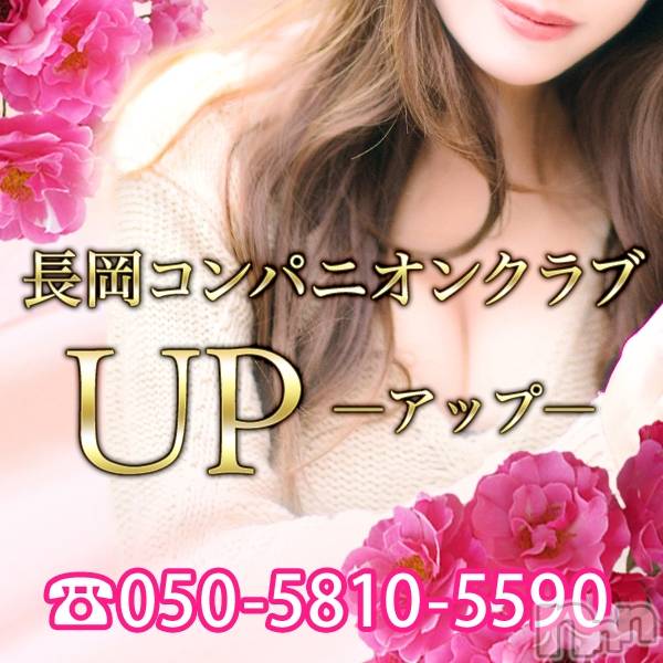 Ĺ襳ѥ˥󥯥Ĺѥ˥󥯥 UP -å-(ʥѥ˥󥯥֥å)  2025ǯ318ֱ̥֥夲UPˤǤ♡