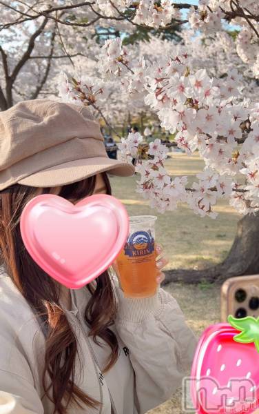 Ĺ襳ѥ˥󥯥Ĺѥ˥󥯥 UP -å-(ʥѥ˥󥯥֥å)  2025ǯ427̥֥GWͽ💖