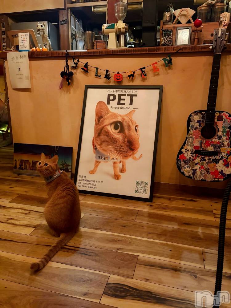 Įʥå륺СL'asile(饸) riko1012̥֥֤Фϡ