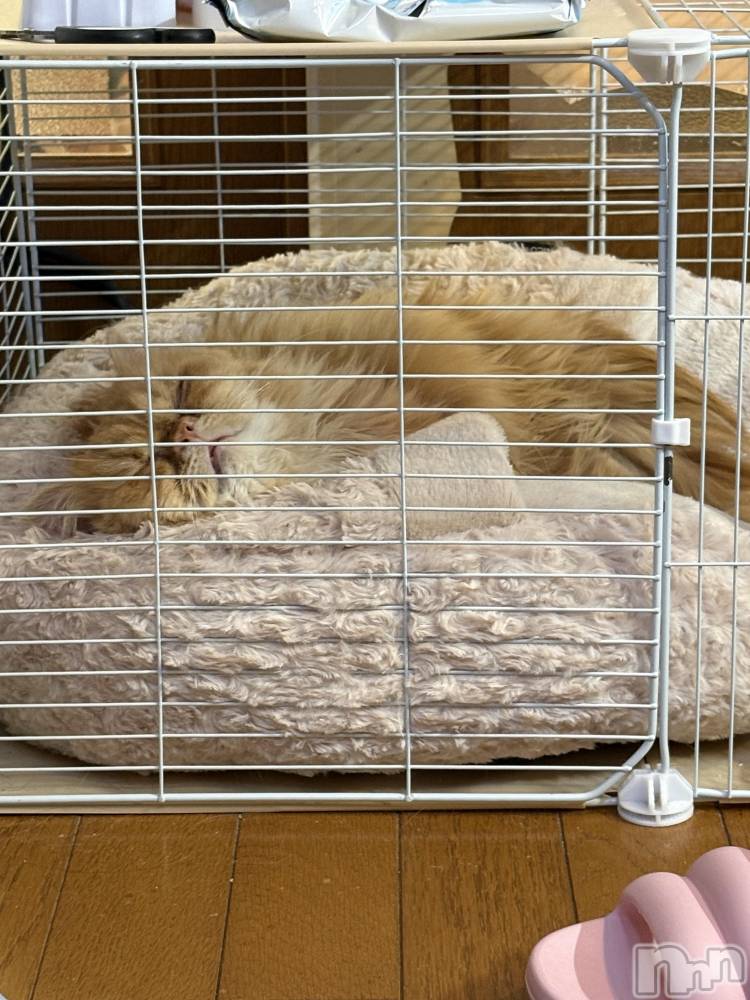 ��Į���ʥå��������륺�С�L'asile(�饸����) riko��12��20���̥�֥����֤���Ф�ϡ���