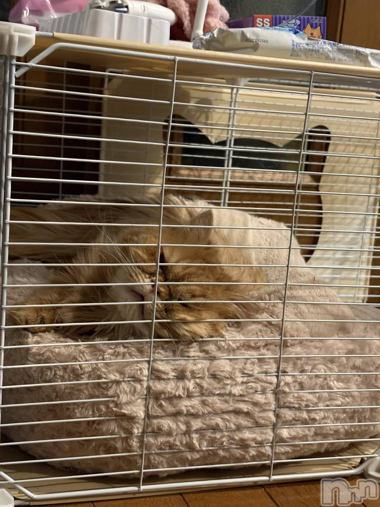 ��Į���ʥå��������륺�С�L'asile(�饸����) riko��1��10���̥�֥����֤���Ф�ϡ���