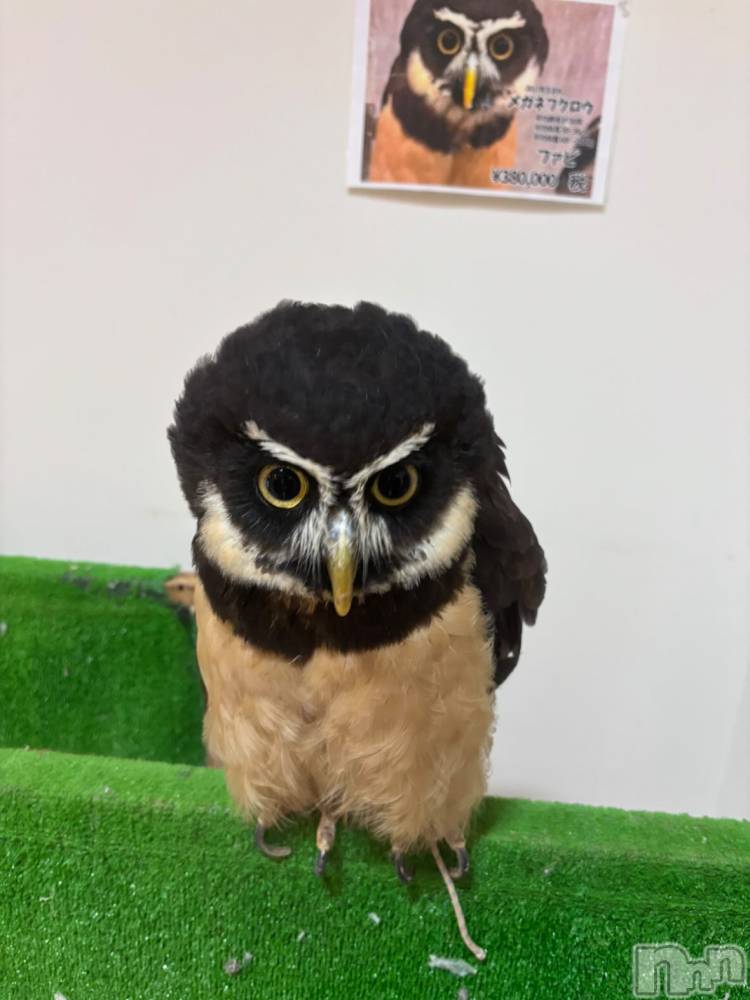 ��Į���ʥå��������륺�С�L'asile(�饸����) riko��1��25���̥�֥����֤���Ф�ϡ���