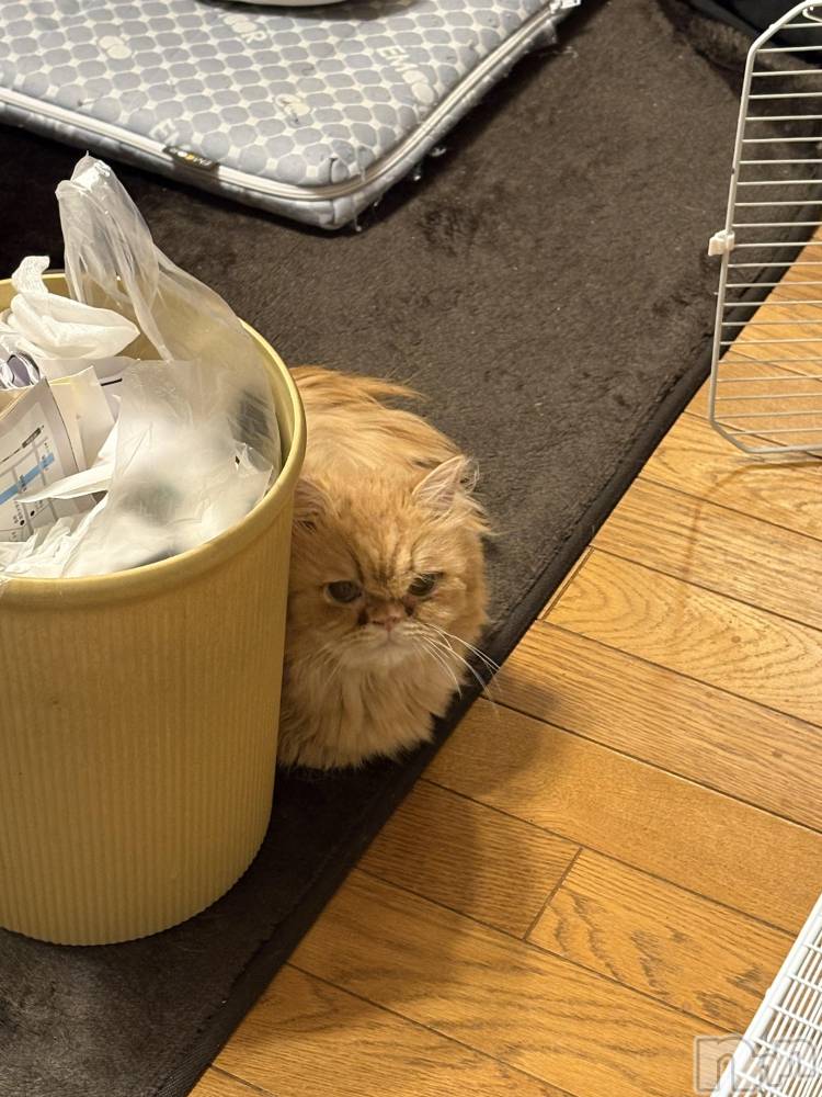 ��Į���ʥå��������륺�С�L'asile(�饸����) riko��2��14���̥�֥����֤���Ф�ϡ���