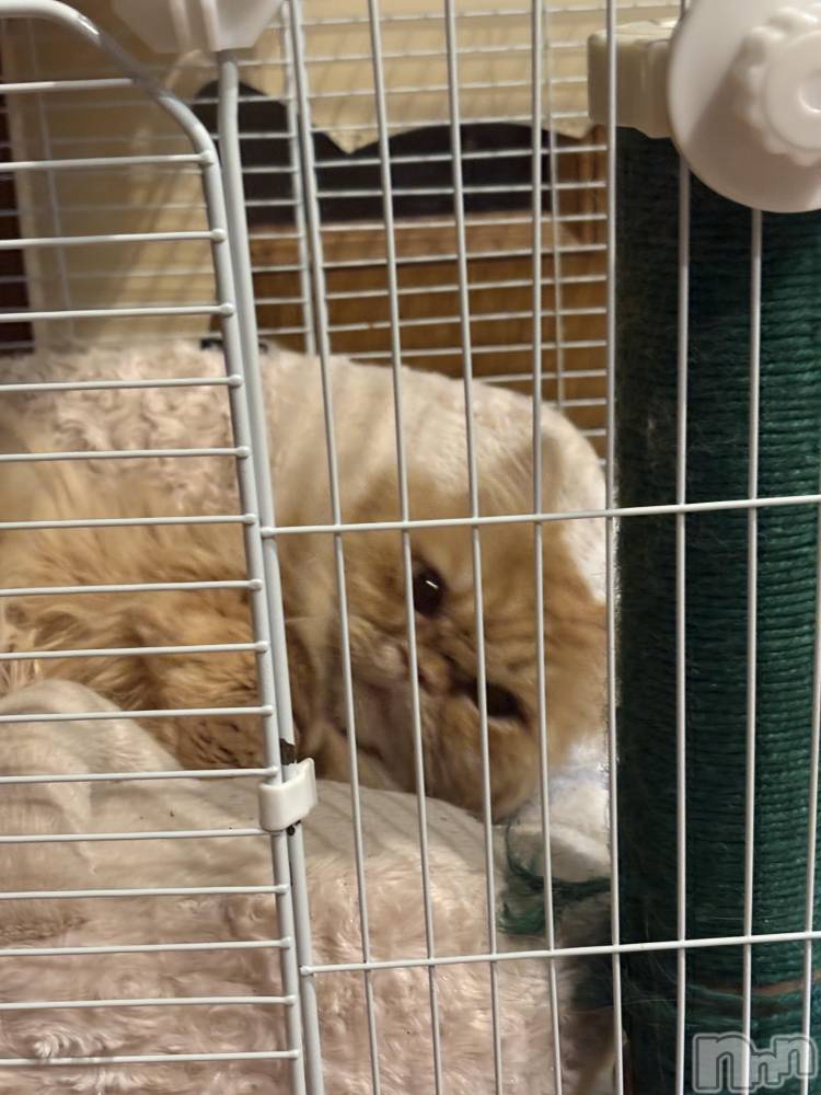 ��Į���ʥå��������륺�С�L'asile(�饸����) riko��3��18���̥�֥����֤���Ф�ϡ���