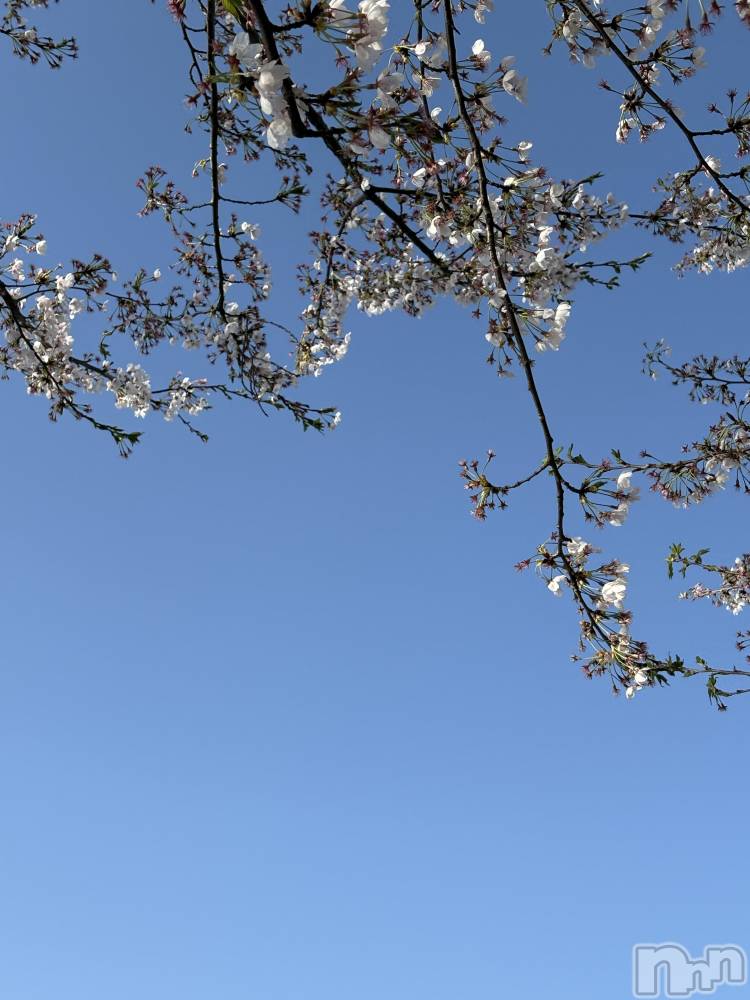 ��Į���ʥå��������륺�С�L'asile(�饸����) riko��4��11���̥�֥����֤���Ф�ϡ���