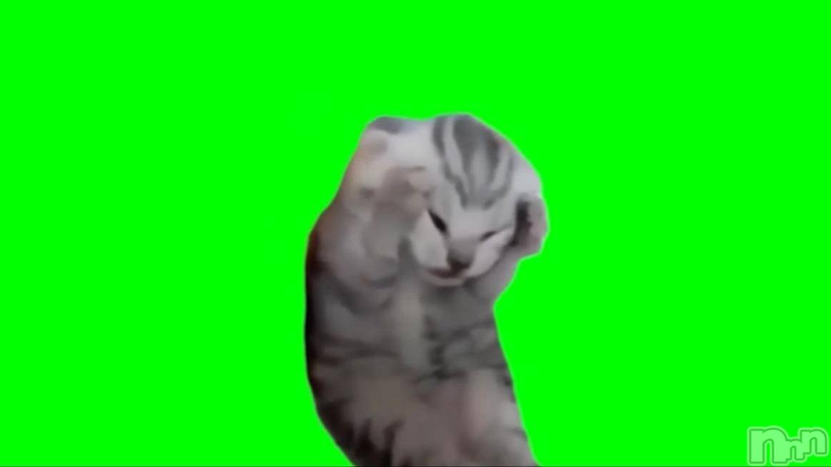 Įʥå륺СL'asile(饸) 2024ǯ518̥֥֤Фϡ