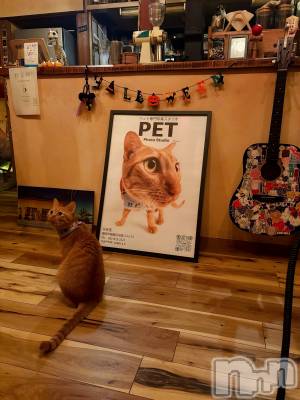 Įʥå륺СL'asile(饸) riko1012̥֥֤Фϡ