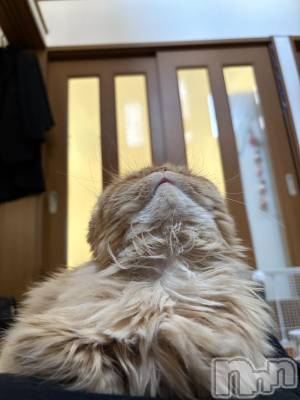 Įʥå륺СL'asile(饸) riko1115̥֥֤Фϡ