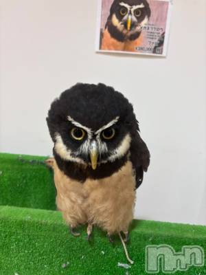 ��Į���ʥå��������륺�С�L'asile(�饸����) riko��1��25���̥�֥����֤���Ф�ϡ���