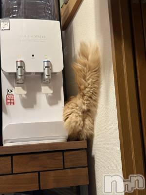 ��Į���ʥå��������륺�С�L'asile(�饸����) riko��1��31���̥�֥����֤���Ф�ϡ���